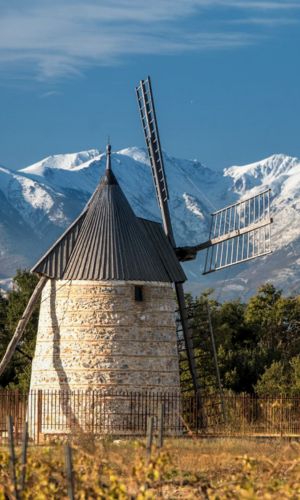 Claira dans les Pyrénées-Orientales